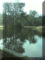 lago 1.jpg (87374 bytes)
