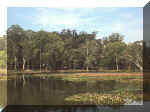 lago 2.jpg (77326 bytes)