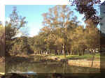 lago sucio.jpg (101413 bytes)